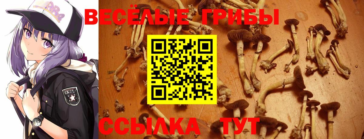 цены наркотик  Псилоцибиновые грибы GOLDEN TEACHER  Вход с VPN  Ижевск 